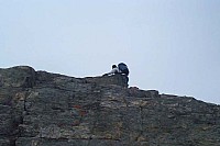dcp_6218.jpg