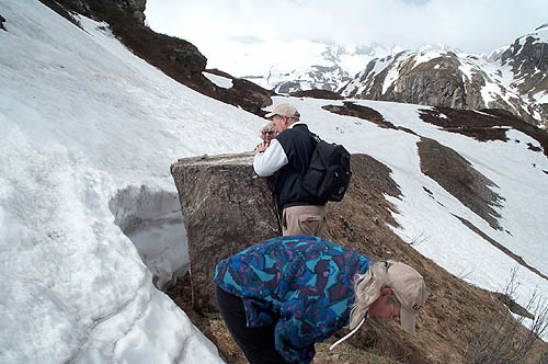 100_0078.jpg