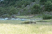 100_0089.jpg
