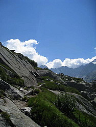 img_0656.jpg