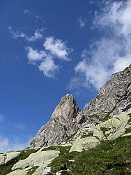 img_0660.jpg