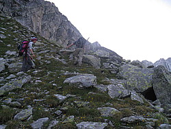 img_0768.jpg