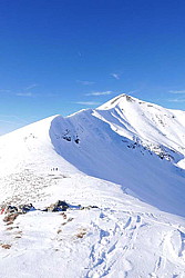 p1010617.jpg