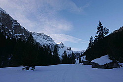 p1010683.jpg