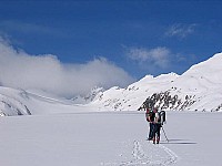 img_0698.jpg