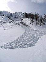 img_0706.jpg