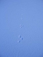 img_0754.jpg