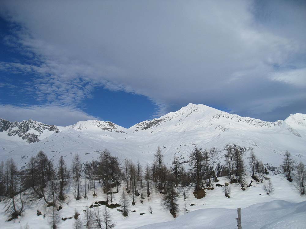 img_2974.jpg
