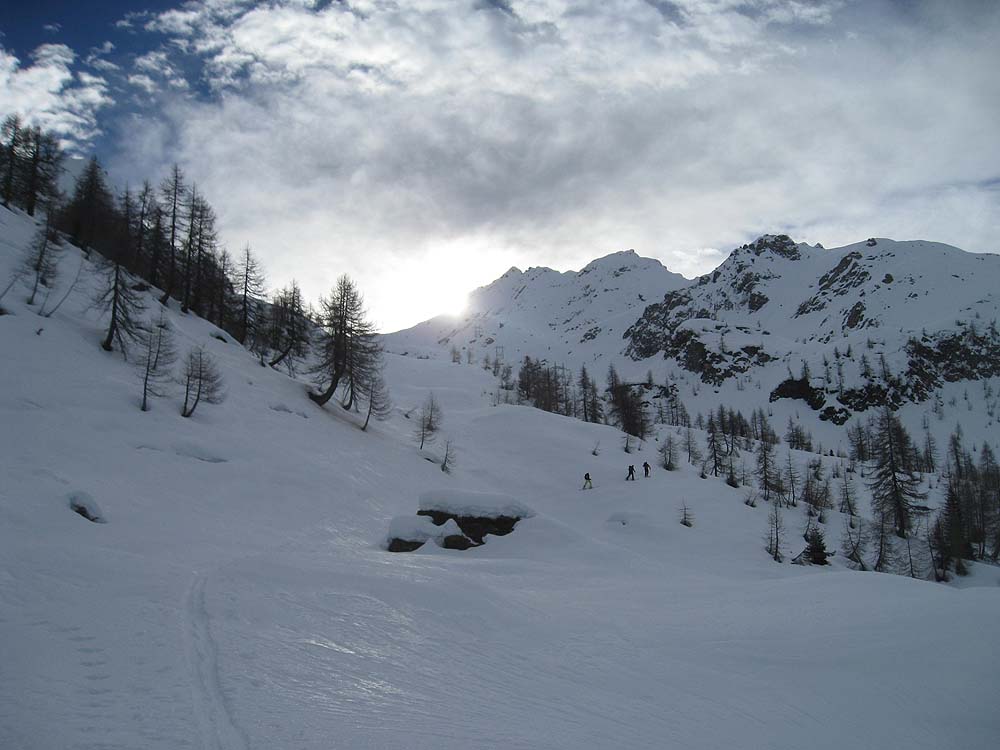 img_2984.jpg