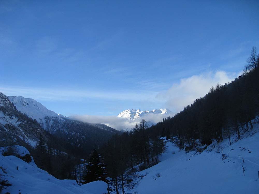 img_3004.jpg