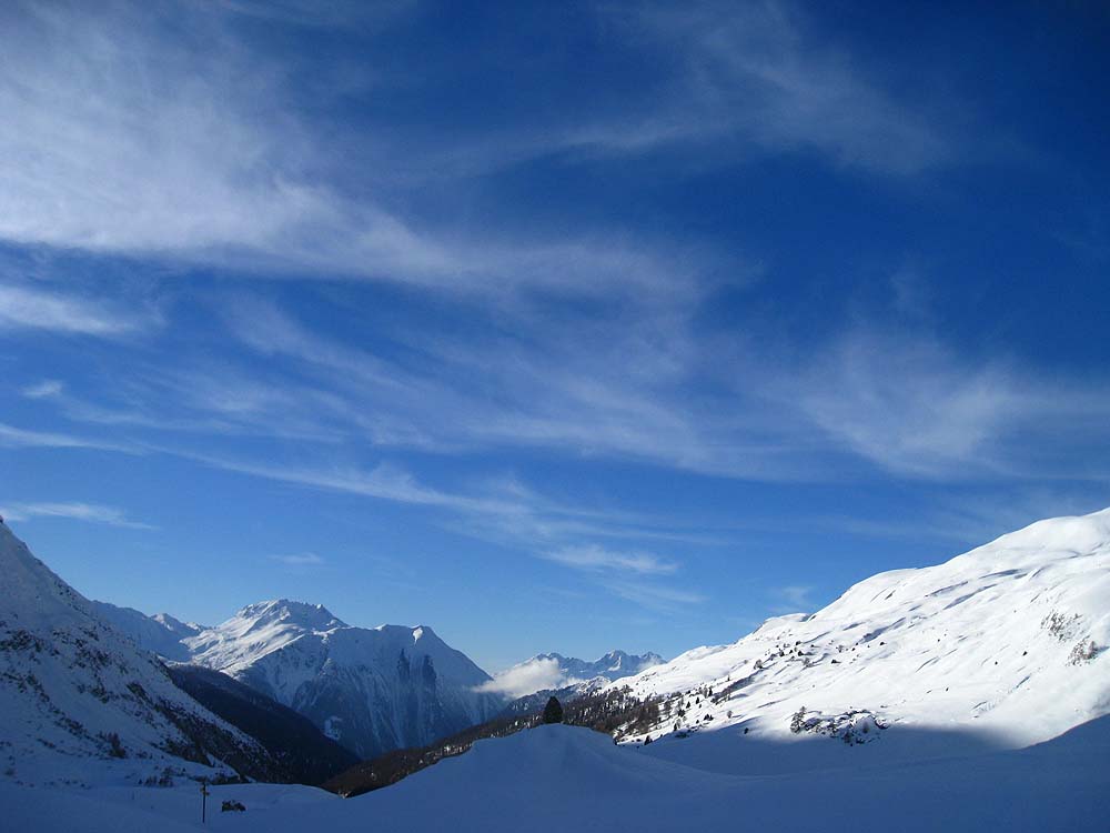 img_3019.jpg
