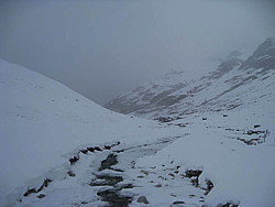 img_2910.jpg