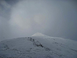 img_2925.jpg
