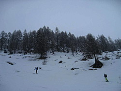 img_2931.jpg
