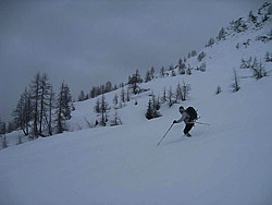 img_2939.jpg