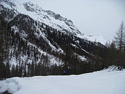 img_2944.jpg