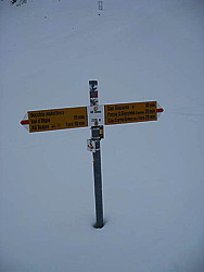 img_2950.jpg