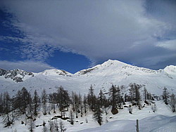 img_2974.jpg