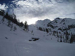 img_2984.jpg