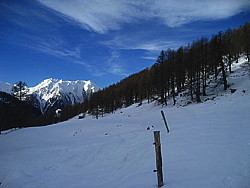 img_3032.jpg