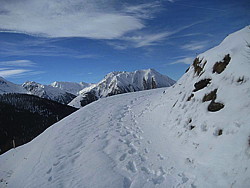 img_3038.jpg