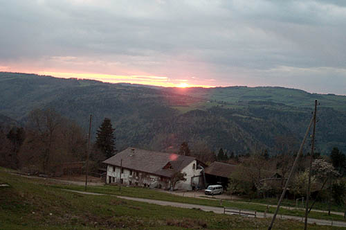 100_1135.jpg