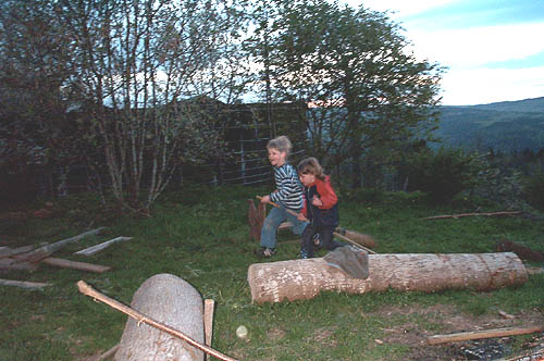 100_1191.jpg