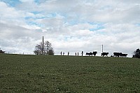 100_1128.jpg