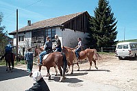 100_1163.jpg