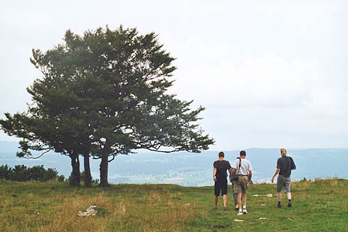 07.jpg