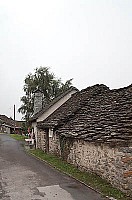 04.jpg