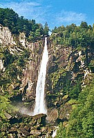 05.jpg