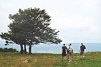 07.jpg
