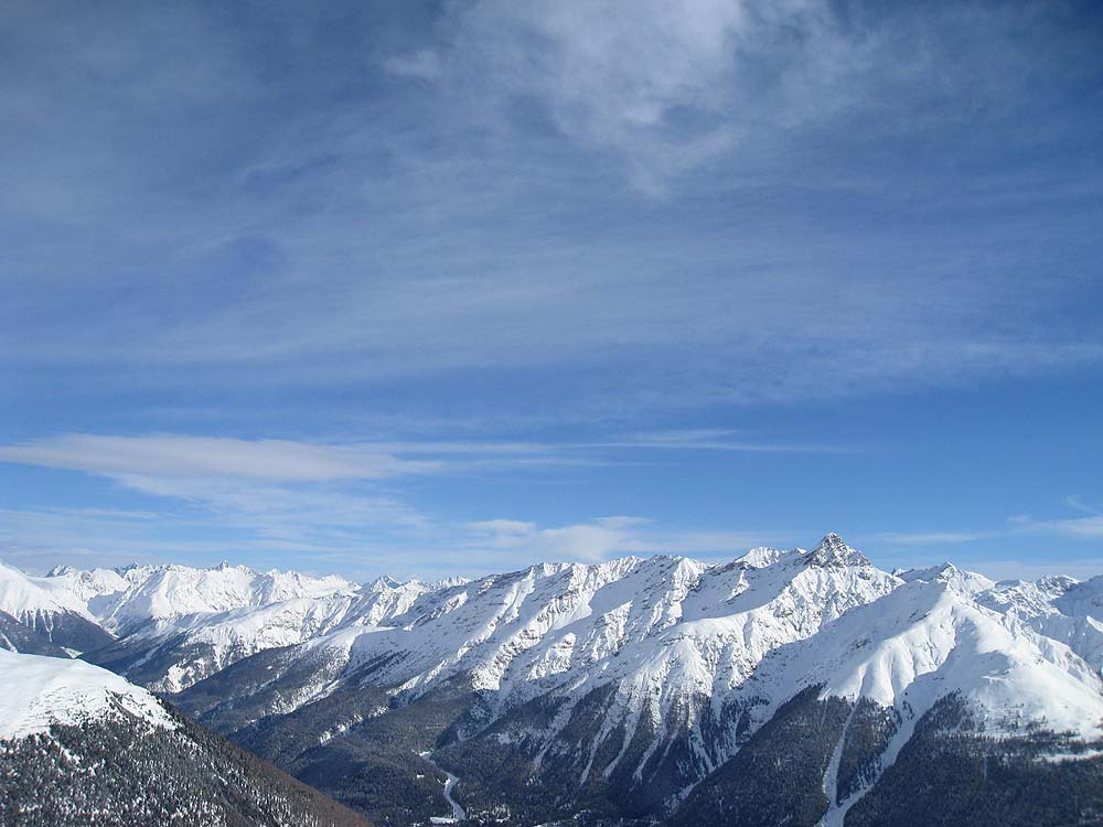 img_8451.jpg