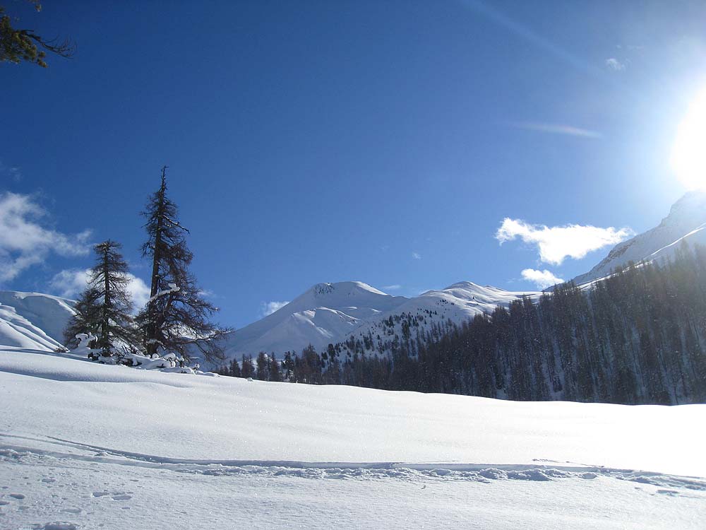 img_8480.jpg