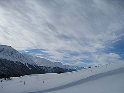 img_8444.jpg