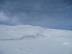 img_8445.jpg