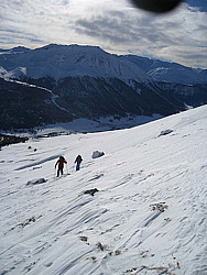 img_8447.jpg