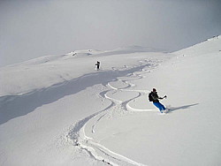 img_8454.jpg