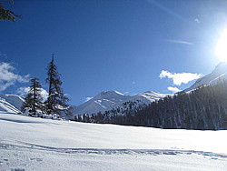 img_8480.jpg