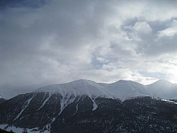 img_8503.jpg