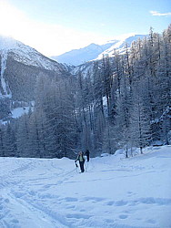 img_8506.jpg
