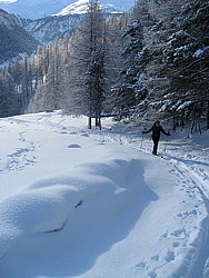 img_8510.jpg