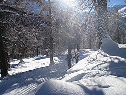 img_8515.jpg
