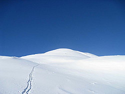 img_8520.jpg