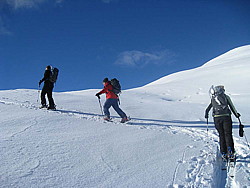 img_8525.jpg
