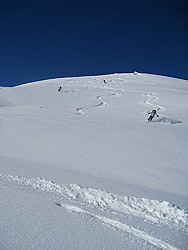 img_8540.jpg