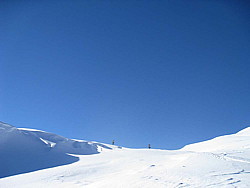 img_8541.jpg