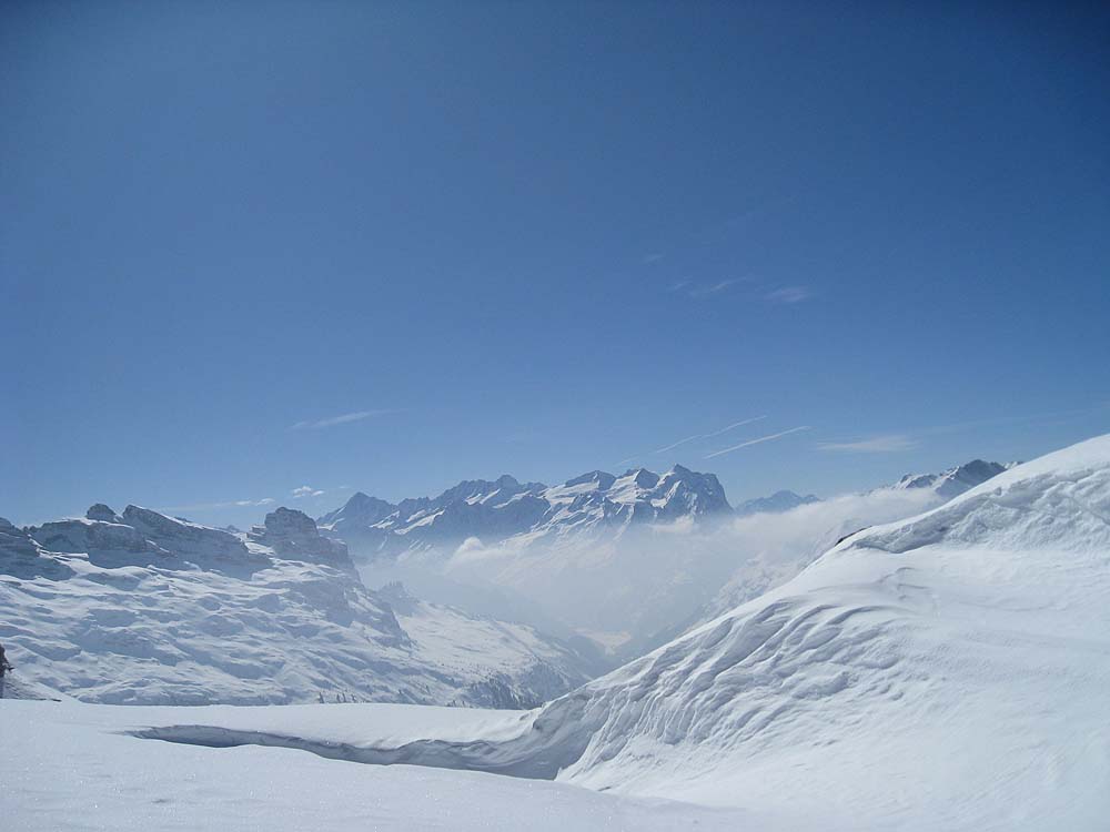 img_7454.jpg