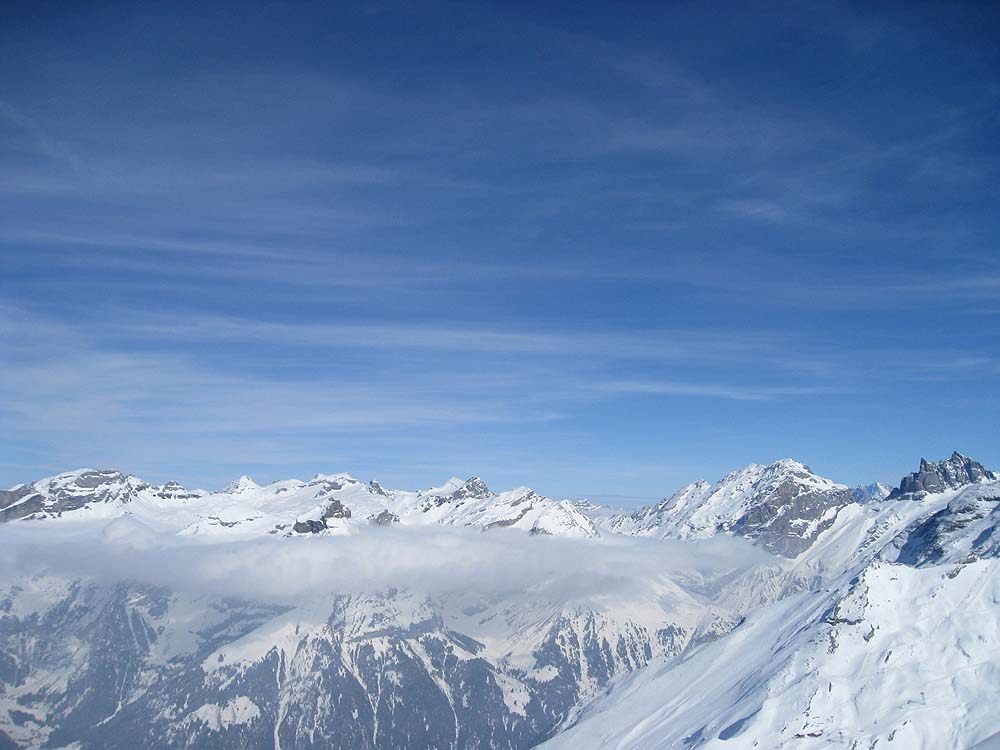 img_7467.jpg